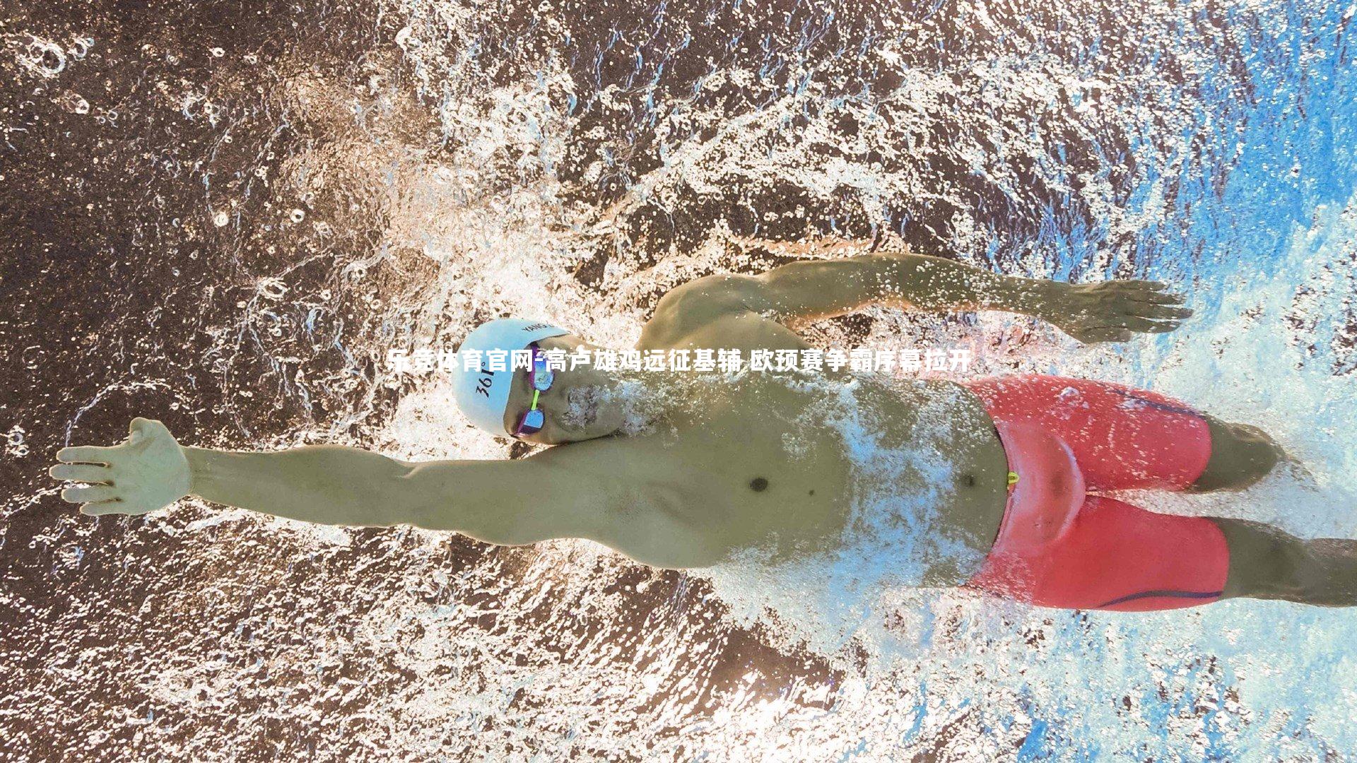 乐竞体育官网-高卢雄鸡远征基辅 欧预赛争霸序幕拉开